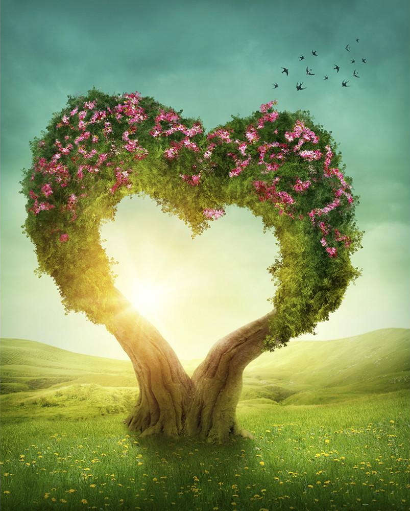 flowering_tree_heart.jpg